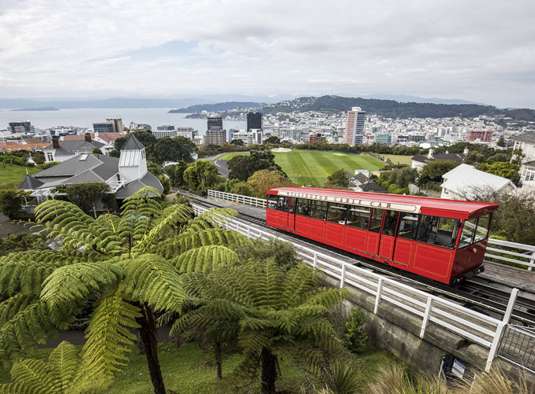 A red cable car goes down a hill with the city of Wellington and its harbour in the background